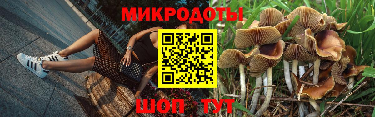 Красноперекопск  Галлюциногенные грибы прущие грибы  Вход с VPN 